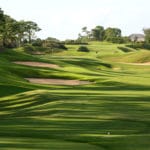 Loblolly Golf Course - Loblolly Pines