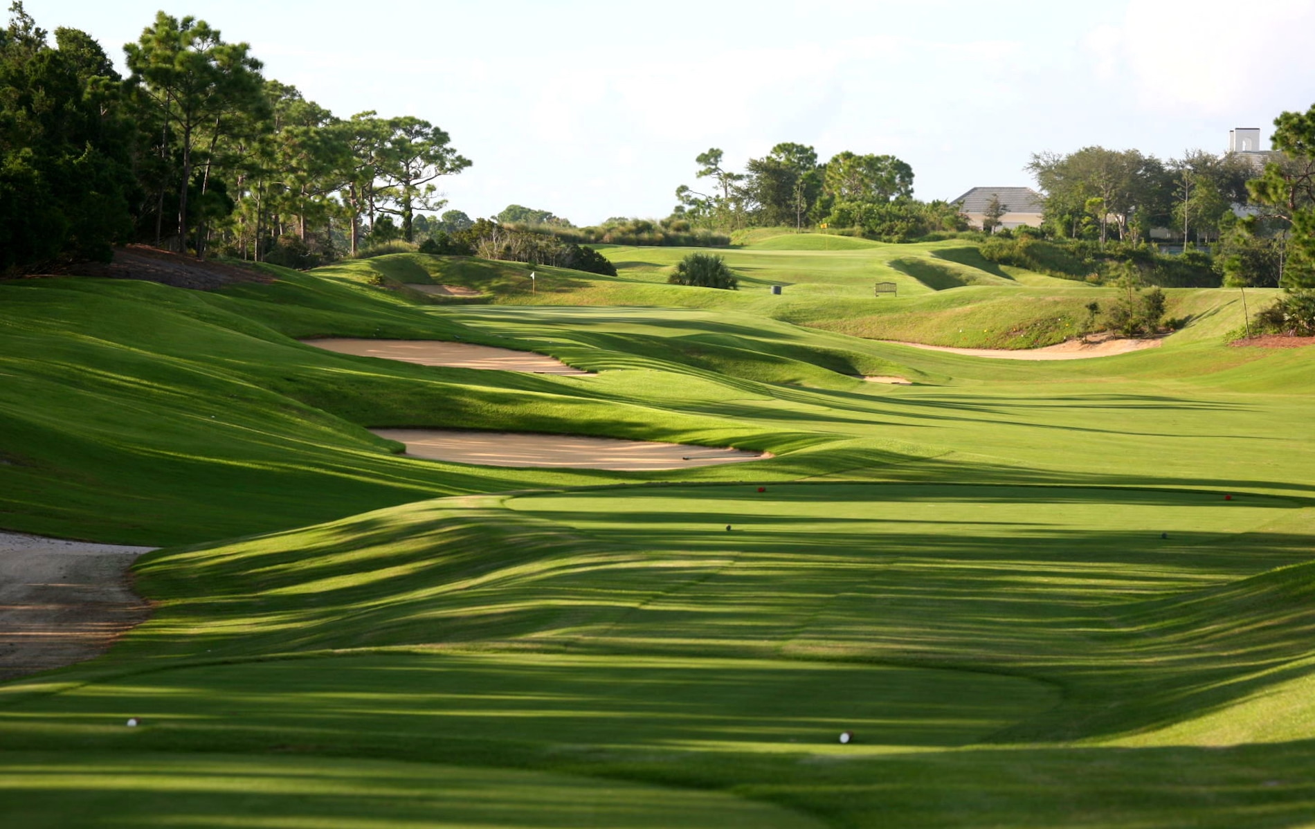 Loblolly Golf Course - Loblolly Pines