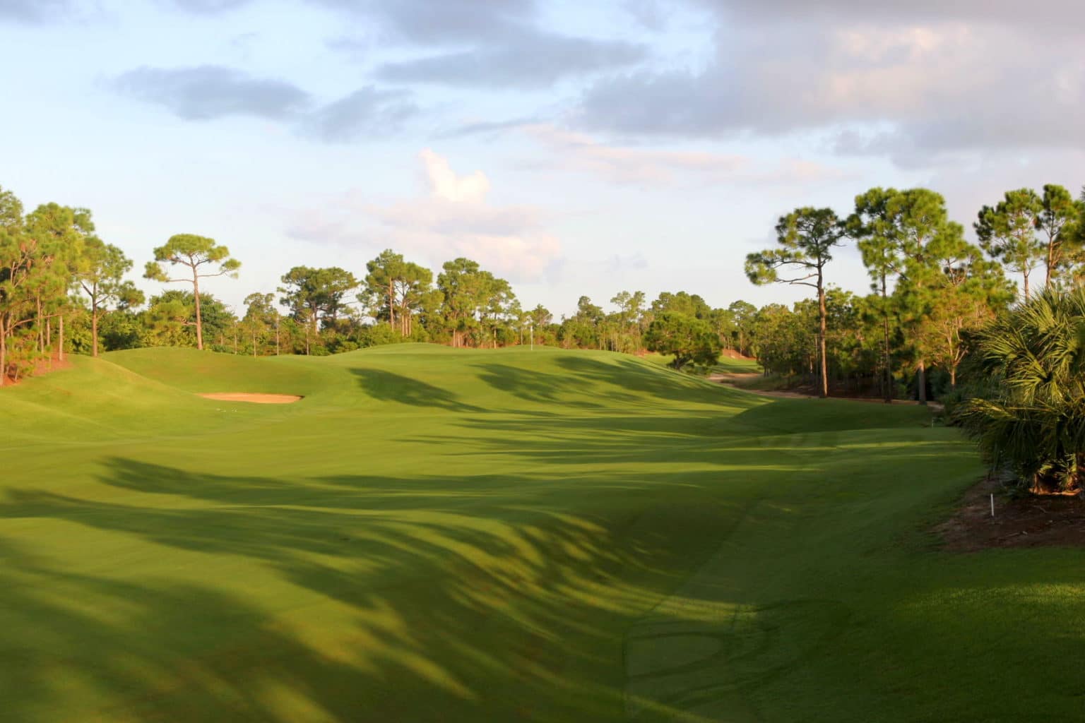 Loblolly Golf Course - Loblolly Pines