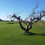 Quivira Golf Club