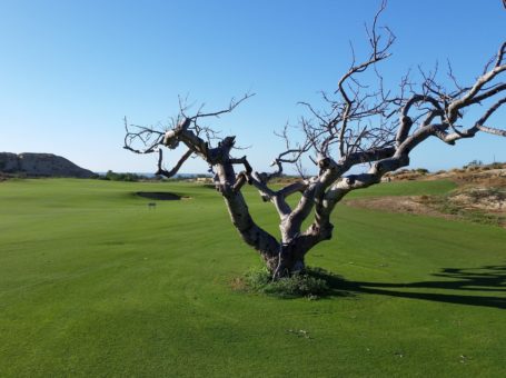 Quivira Golf Club