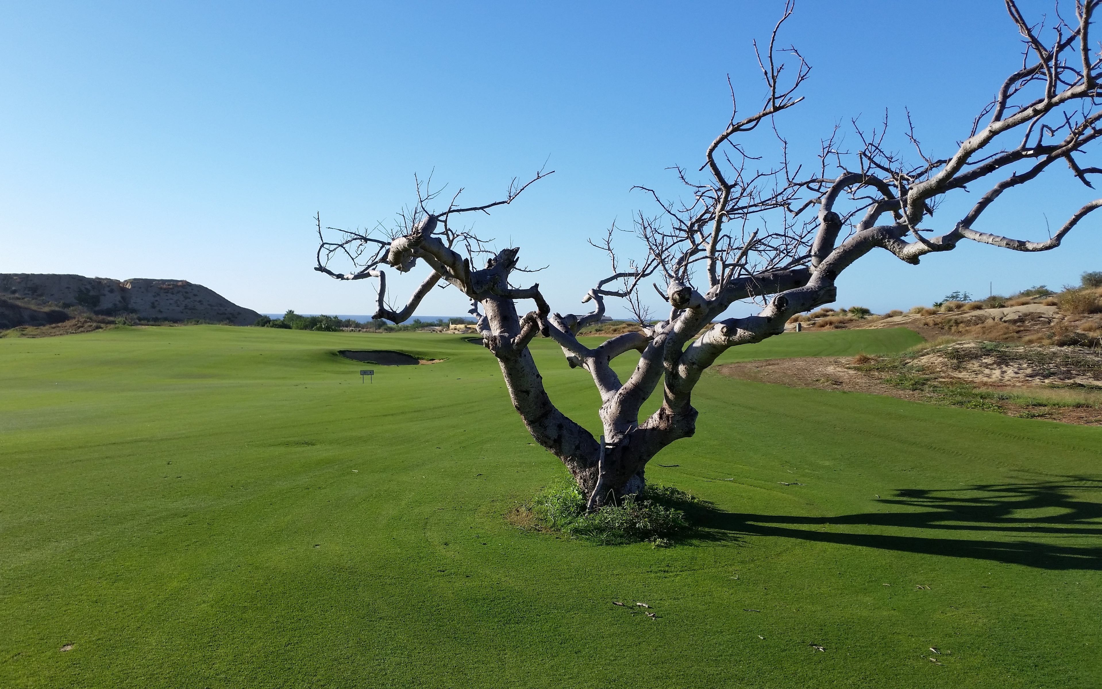 Quivira Golf Club